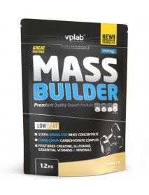 VPLab  Mass Builder (1200 г)